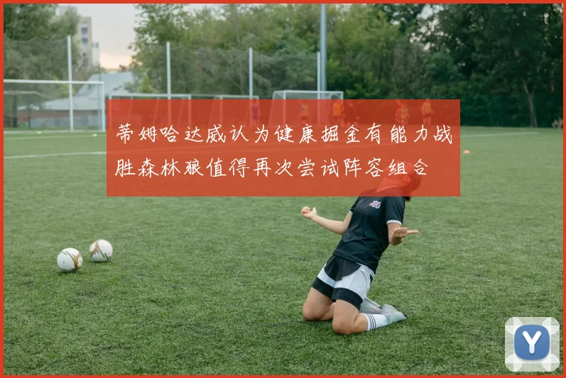 蒂姆哈达威认为健康掘金有能力战胜森林狼值得再次尝试阵容组合
